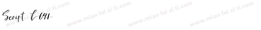 Script L691字体转换